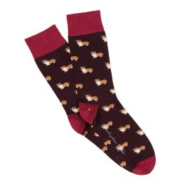 Corgi sock advent calendar best sale