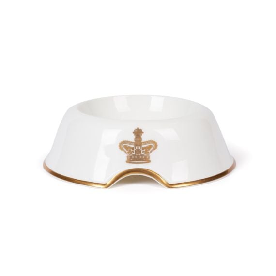 Front of pet bowl with gold edge and crown motif front and centre. 